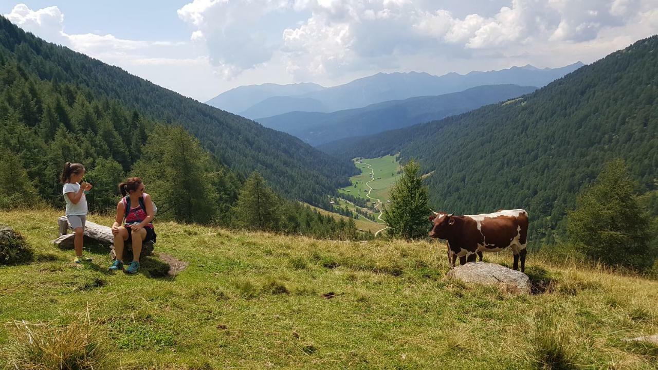 Pension Sonnenhof Maranza Esterno foto